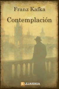 Contemplación de Franz Kafka 
